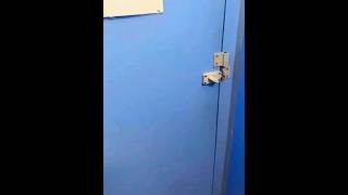 Download lagu Shhh...ada seseorang yang melamar.😁😂🤣 #komedi #tertawa #lucu #celanapendek mp3