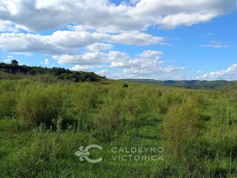 Video de YouTube - Campo en venta en Rivera ref. 7945