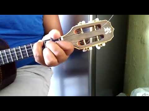 Leva - Leila Pinheiro