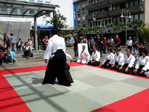 Aikido Rüsselsheim Demo 8