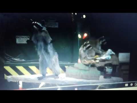 Racoonladdin part 25 Petey papa dark wishes