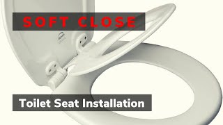 How to Remove & Replace a Toilet Seat