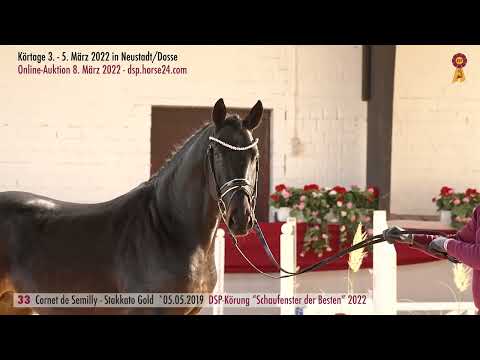 33 Cornet de Semilly - Stakkato Gold