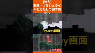 【Core Keeper】めったに見られない協力プレイでボスを倒しました #shorts  #ゲーム実況 #corekeeper