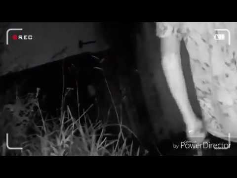 VOLTEI NA LENDA DA MULHER ASSASSINADA (Deu ruim)