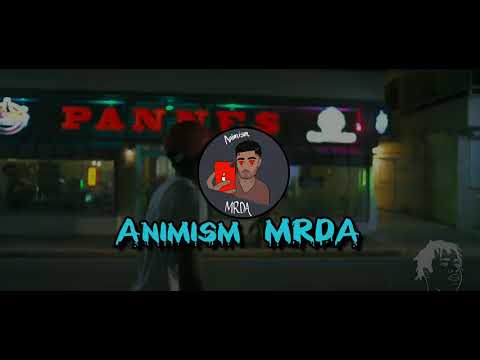 Shawny Binladen x Melly Migo Type Beat "Paradox" | NY Sample Drill Instrumental (2021) | @Animism