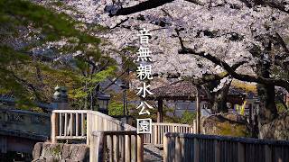 Otonashi Shinsui Park video preview