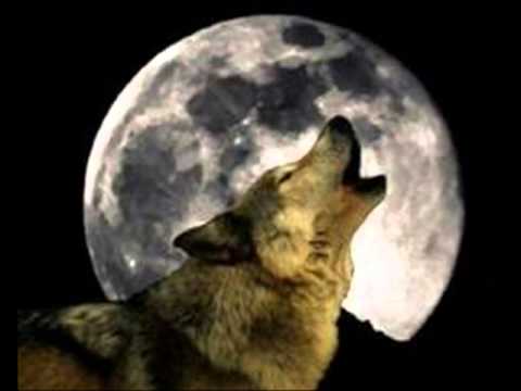 mongol hoomii" Ts.Tsogtgerel&N.Naranbadrakh "