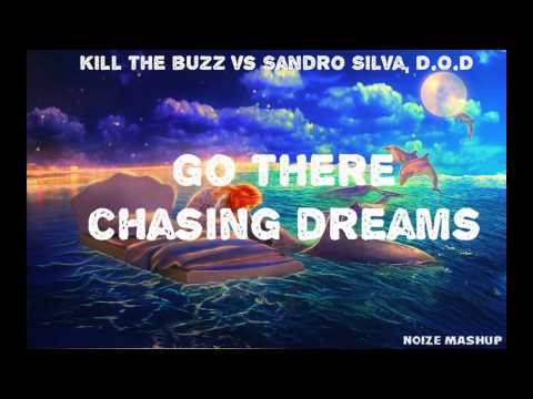 Kill The Buzz vs Sandro Silva, D.O.D - Go There Chasing Dreams (Noize Mashup)