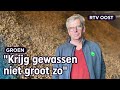 Grote onrust onder akkerbouwers: teeltplan ministerie niet haalbaar | RTV Oost