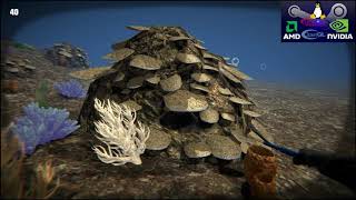 Lionfish Reef Patrol episode