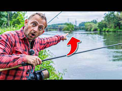 So fängst du Karpfen im Fluss 🐟 Top-Stellen, Jahreszeiten und Geheimtipps!