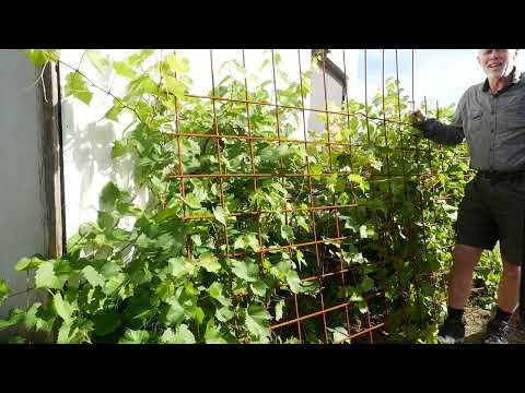 Rankan - NOOMARATON Halland 2022