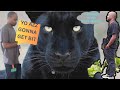 Panther Power DoorDash Myway Hawaii Justwatch DeliveryDriver Trending Platinum Instacart