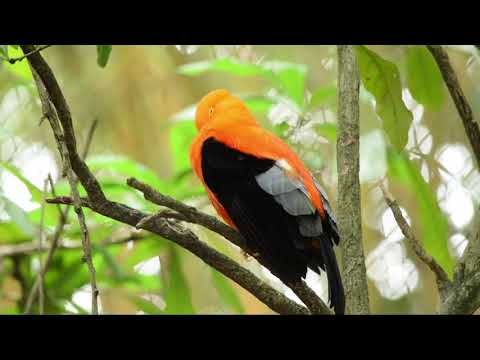 beautiful nature# Prakriti dwara Nirmit wadiyan#