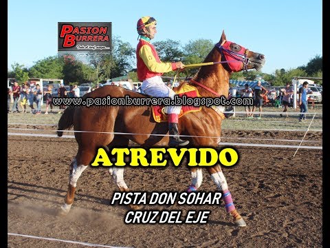 Atrevido, Pista Don Sohar - Cruz del Eje (04-11-18)
