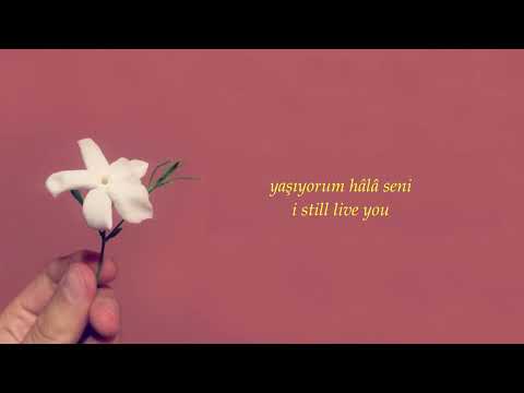cem adrian & hande mehan - sen benim şarkılarımsın (lyrics & english translation)
