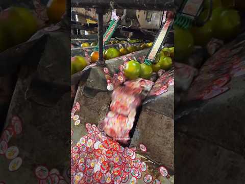 Для чего наклейки на фруктах