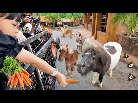 , title : 'Kasih Makan Kuda Mini, Rusa Raksasa dan Bison - Mengenal Binatang Lucu untuk Anak'