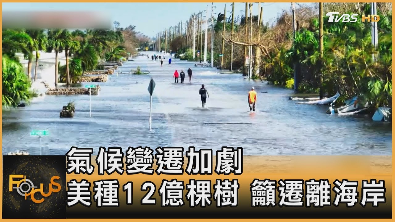 氣候變遷加劇 美種12億棵樹、籲遷離海岸