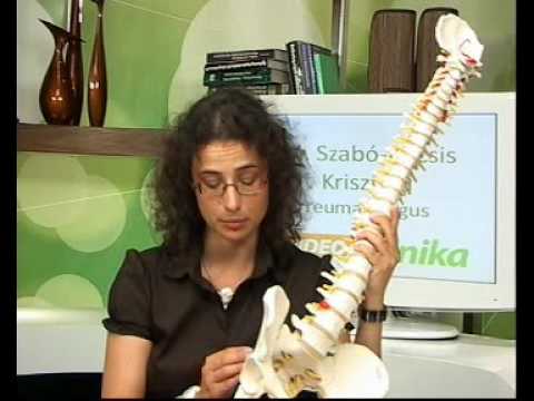 A gerinc betegségei (Dr. Szabó-Kocsis Krisztina reumatológus)