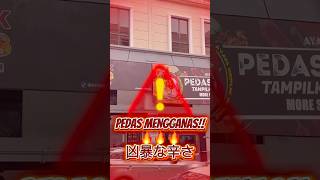 マレーシアで大人気！辛いけど美味しすぎるチキン！