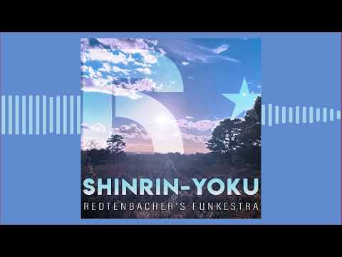Redtenbacher's Funkestra ft Ross Stanley (Rhodes, Hammond organ) | Shinrin-Yoku | Soul Jazz