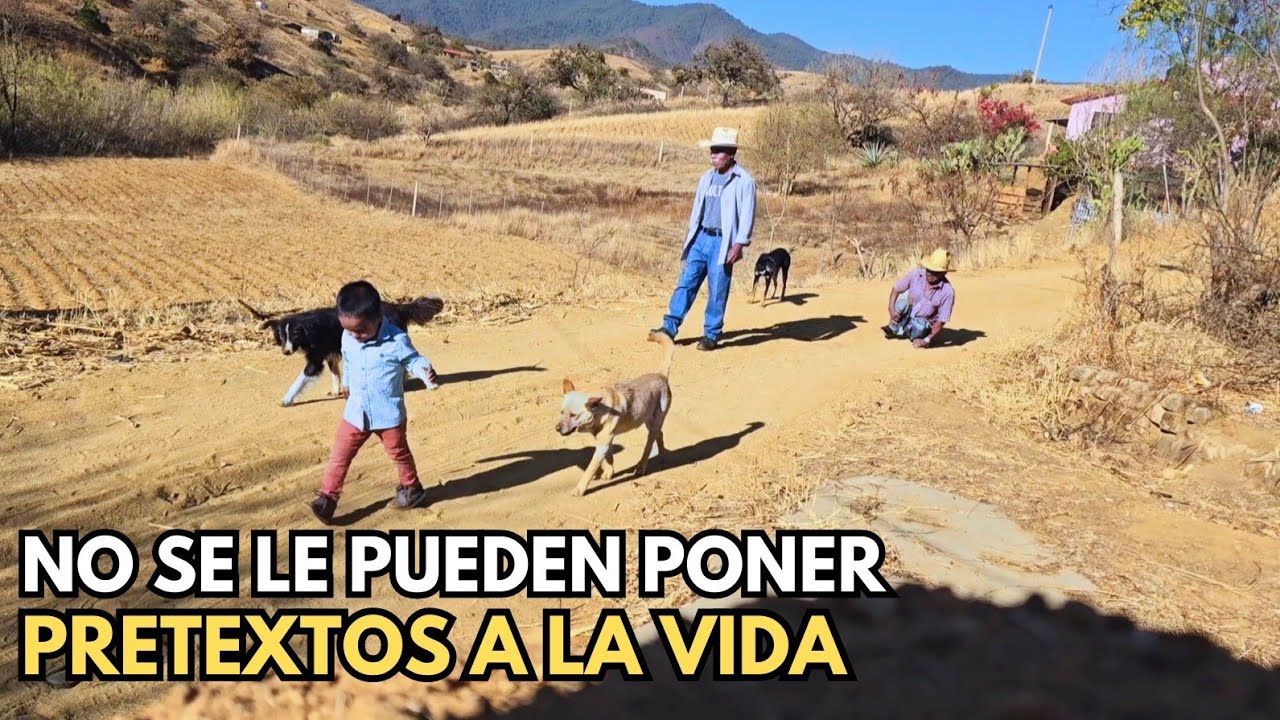 "Solo los fuertes siguen caminando"|Tío Tomas