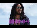 LENNY KRAVITZ - ITS YOUR LIFE