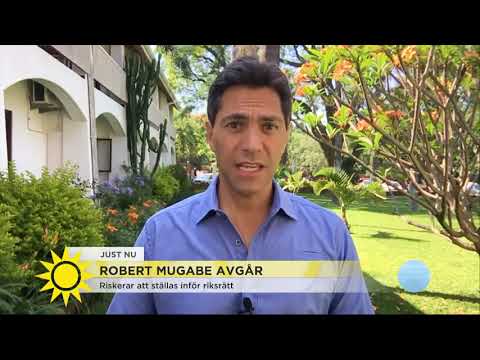 Samir "Mugabes besked fick folket att explodera av glädje" - Nyhetsmorgon (TV4)