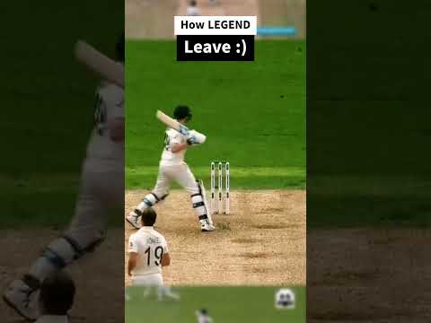 C Pujara Vs S Smith Insane Leave🤣🤣🤣 #shorts