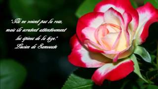 ❀⊱╮♥♫♥ GILBERT BECAUD .♥♫♥ l&#39;important c&#39;est la rose ♥♫♥ ❀⊱╮