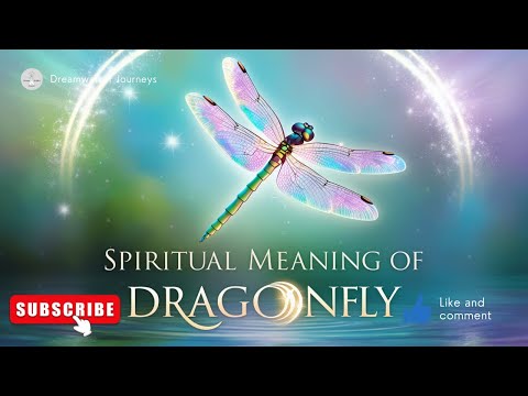 What's the REAL Spiritual Meaning of Dragonfly and How It Can CHANGE Your Life!