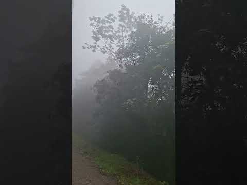 LAUNION ZACAPA GUATEMALA