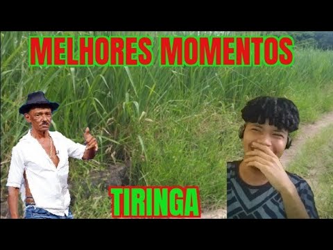 REACT A TIRINGA MELHORES MOMENTOS