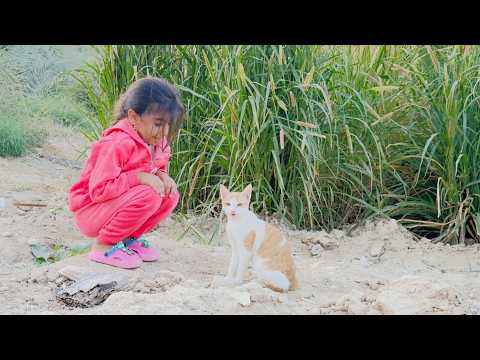 **"Playful Cat: A beautiful day in the garden with Mahsa and Lucy (her cat)!