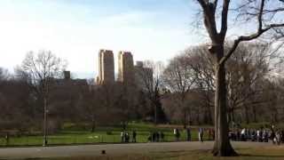 preview picture of video 'Poorman's Adventure In Central Park New York. Part 4. The Elm Tree.'