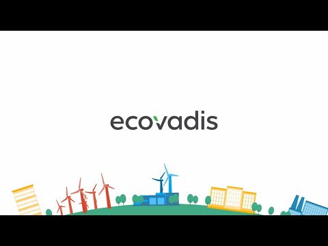 Ecovadis Assessment Service