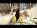 "Russkaya Troika" Horse club in Tomsk, Russia ...