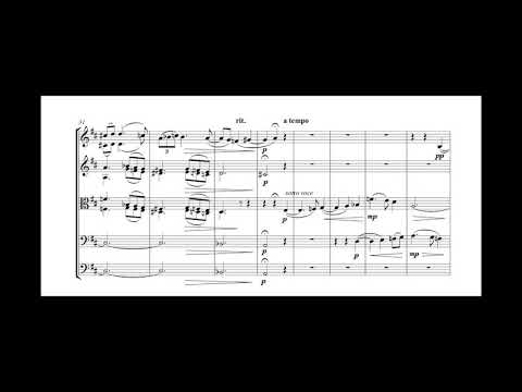 [Robert Kajanus] Adagietto (Score-Video)