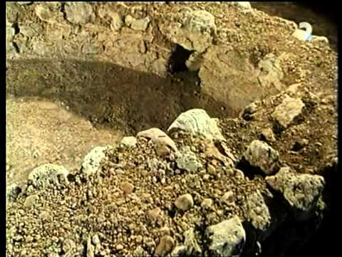 STOPY DÁVNEJ MINULOSTI - Lúka prekvapení (2. časť)