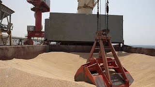 First Ukraine grain ship for Horn of Africa reaches Djibouti