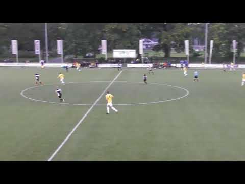 Samenvatting FEA 0-17 - Quick '20 0-17-1 (2-3)