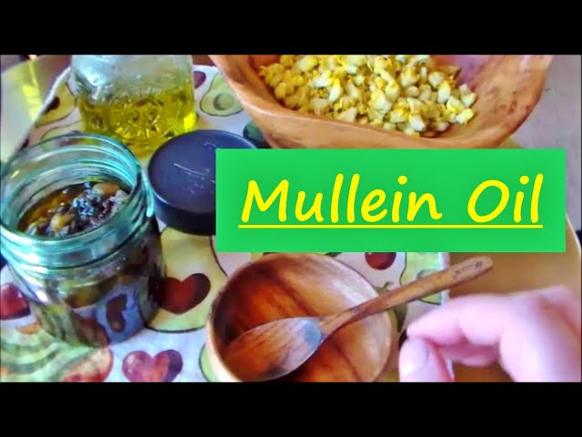 Crafting Herbal Medicine Episode #1 ~Mullein Oil