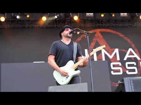 Animal Confession - Behind the scenes at RBC Bluesfest 2018