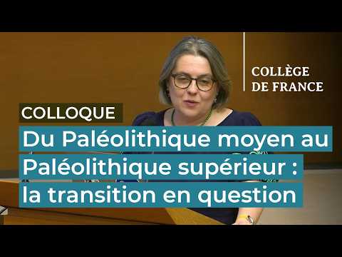 Du Paléolithique moyen au supérieur (5/9)