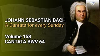 J.S. Bach: Sehet, welch eine Liebe hat uns der Vater erzeiget, BWV 64 - Church Cantatas, Vol. 158