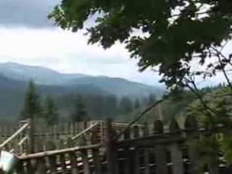 Товарниця — Відео