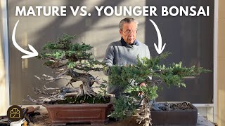 Juniper Bonsai Pruning Techniques: Pads, Pinching, and Poodling Explained