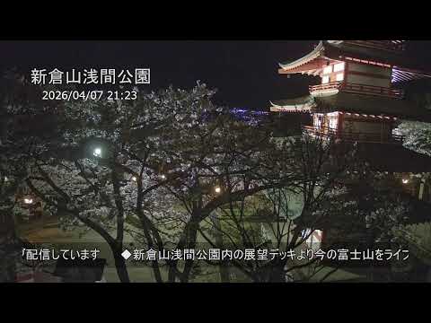 Mt. Fuji from Arakurayama Sengen Park